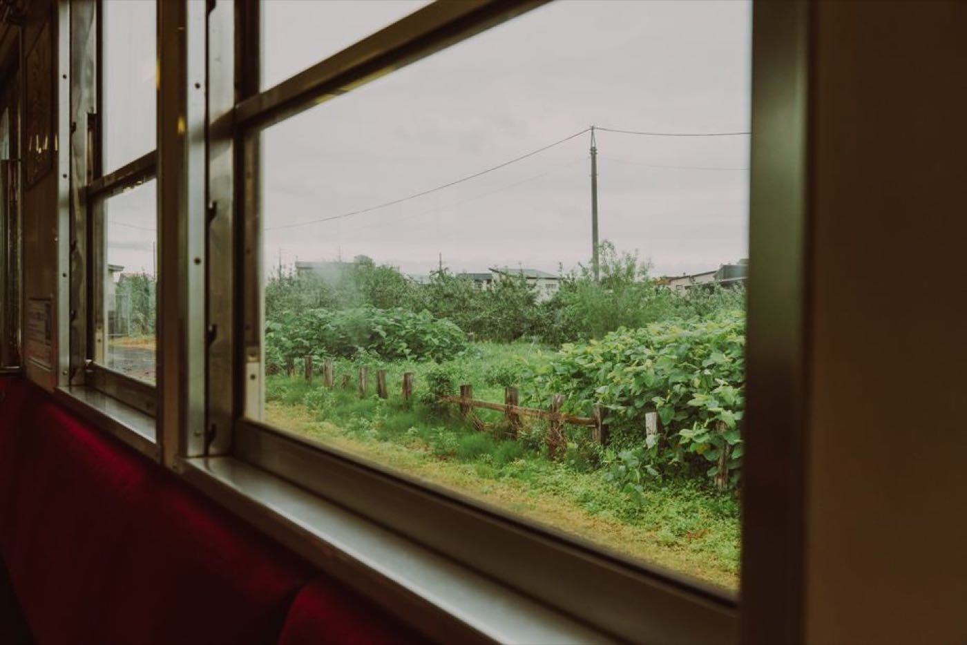 Countryside passing beyond the window of a train carriage, seen from a seat inside.